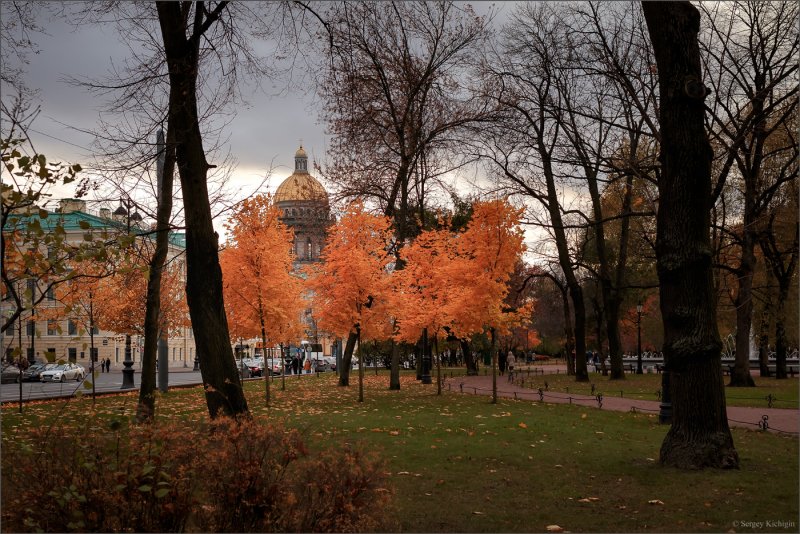 Осенний Александровский сад Санкт-Петербург