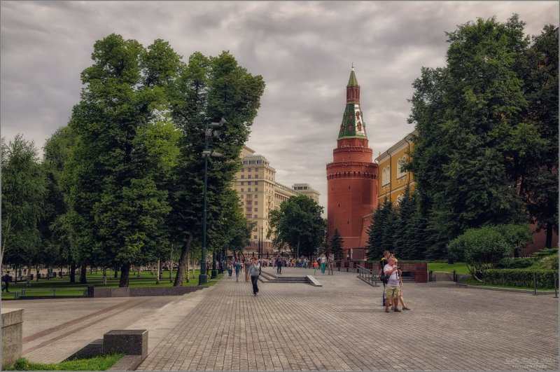 Красная площадь Александровский сад дуб