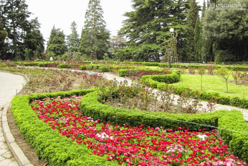 Никитинский Ботанический сад в Крыму