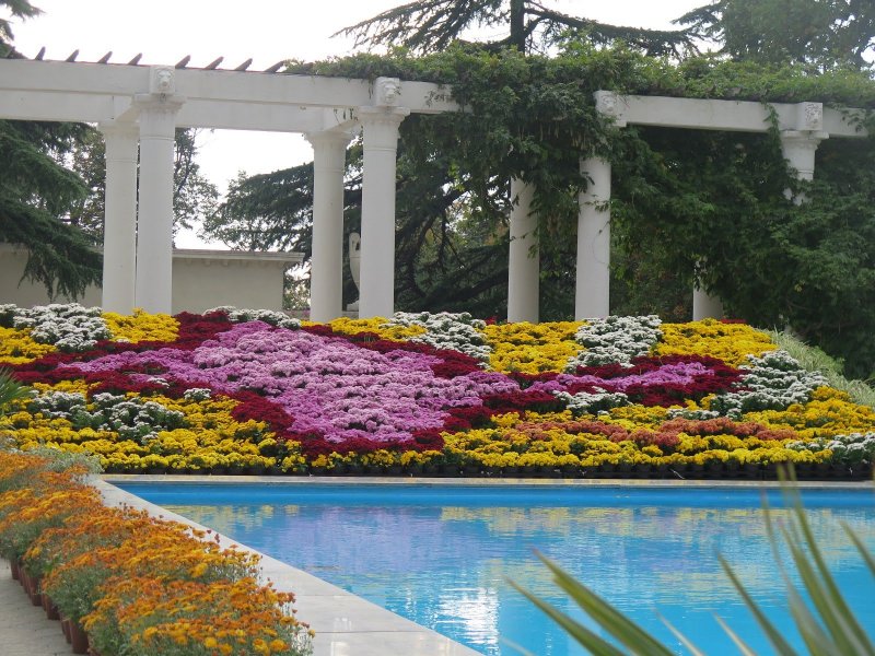 Крым Ялта Никитский Ботанический сад