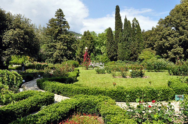 Ботанический сад Ялта деревья