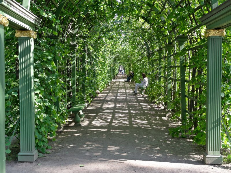 Летний сад в Санкт-Петербурге улица