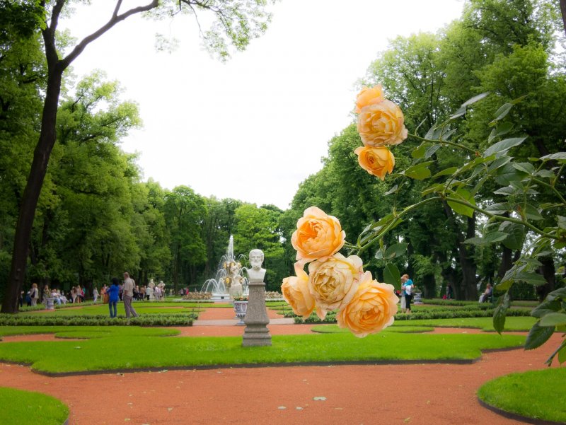 Ограда летнего сада в Санкт-Петербурге