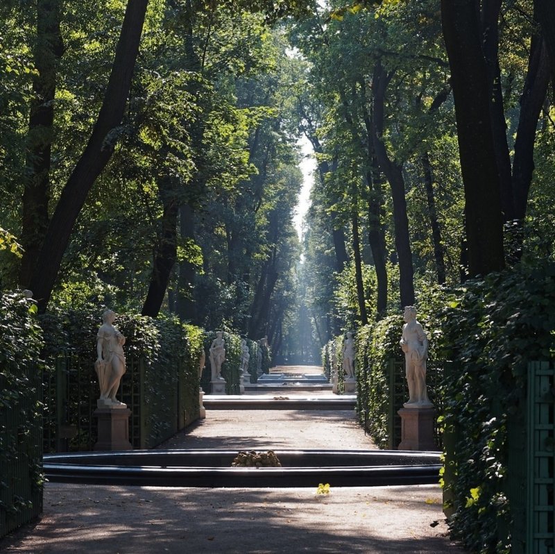 Летний сад в Санкт-Петербурге 2022