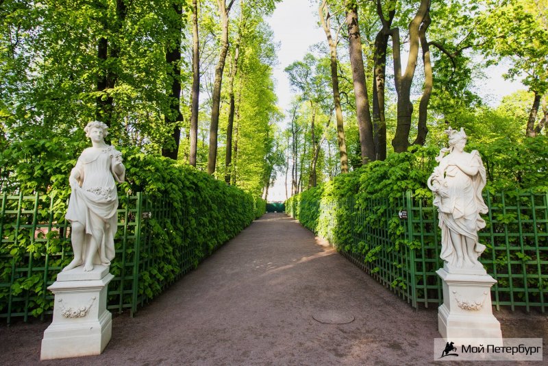 Летний сад Петра 1 в Санкт-Петербурге