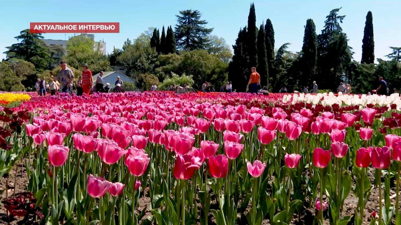 Парад тюльпанов Никитский сад в Крыму