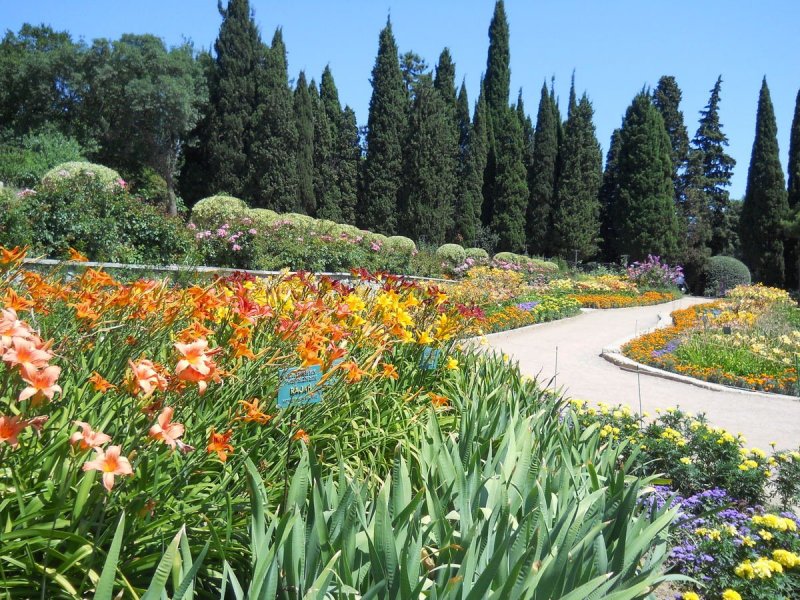 Никитский Ботанический сад Ялта