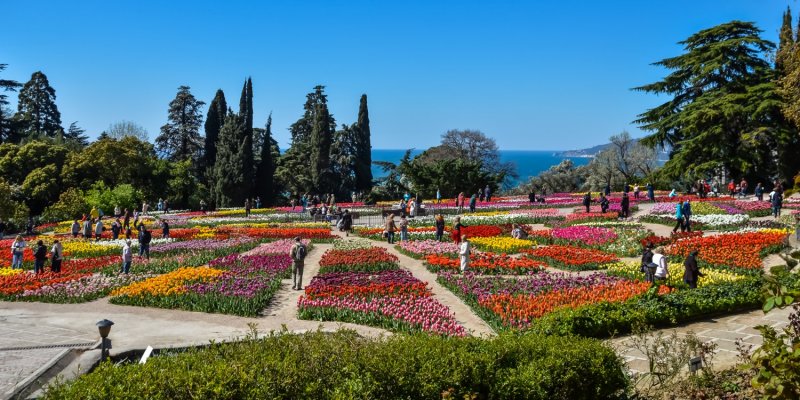 Крымский Ботанический сад Никитский