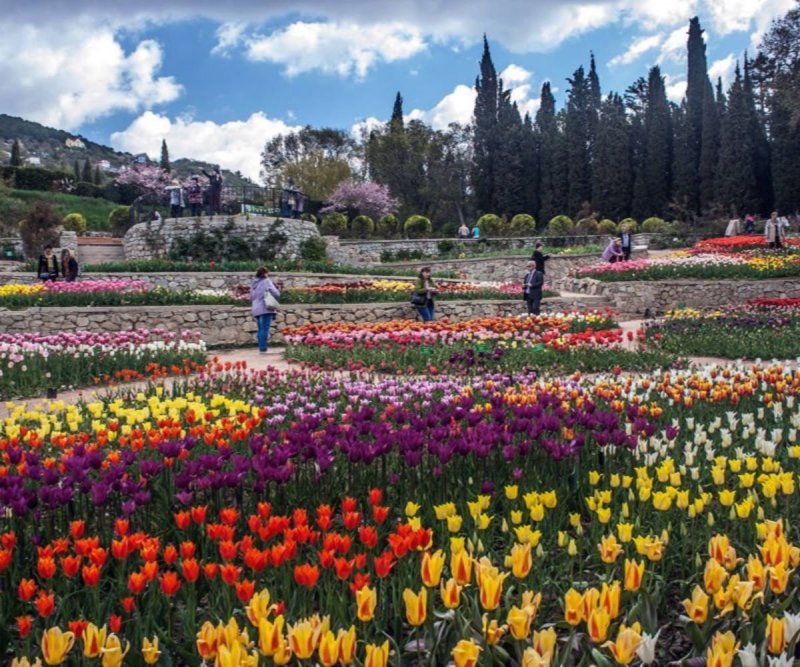 Никитский Ботанический сад в Крыму парад тюльпанов