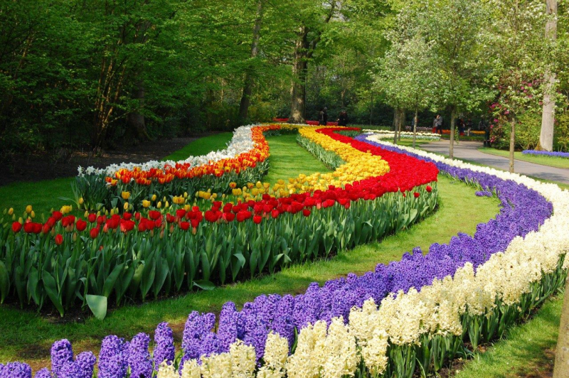 Никитский Ботанический сад цветы