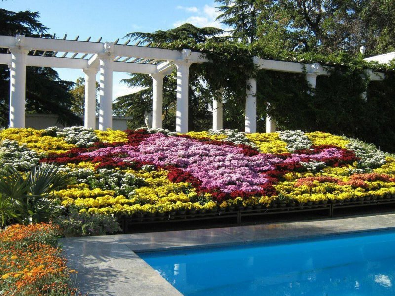 Никитский Ботанический сад в Крыму тюльпаны