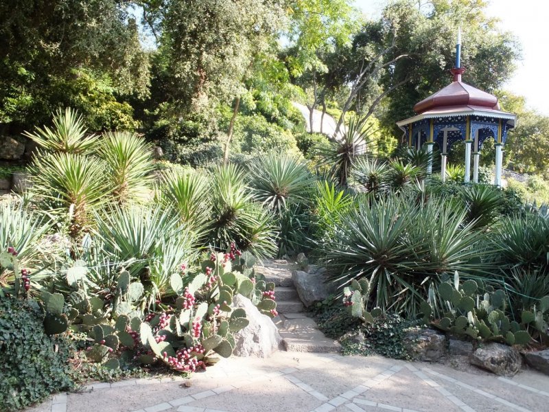 Никитский Ботанический сад в Крыму сейчас