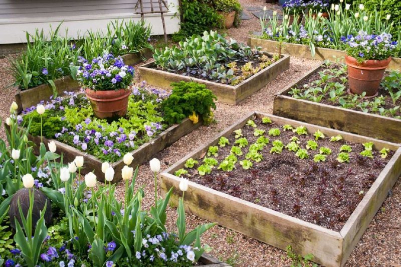 Идеи для сада и огорода своими руками