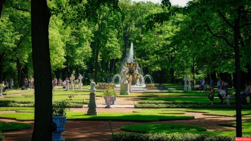 Санкт-Петербург летний сад аллеи осенью