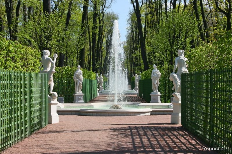 Аллеи летнего сада в Санкт-Петербурге