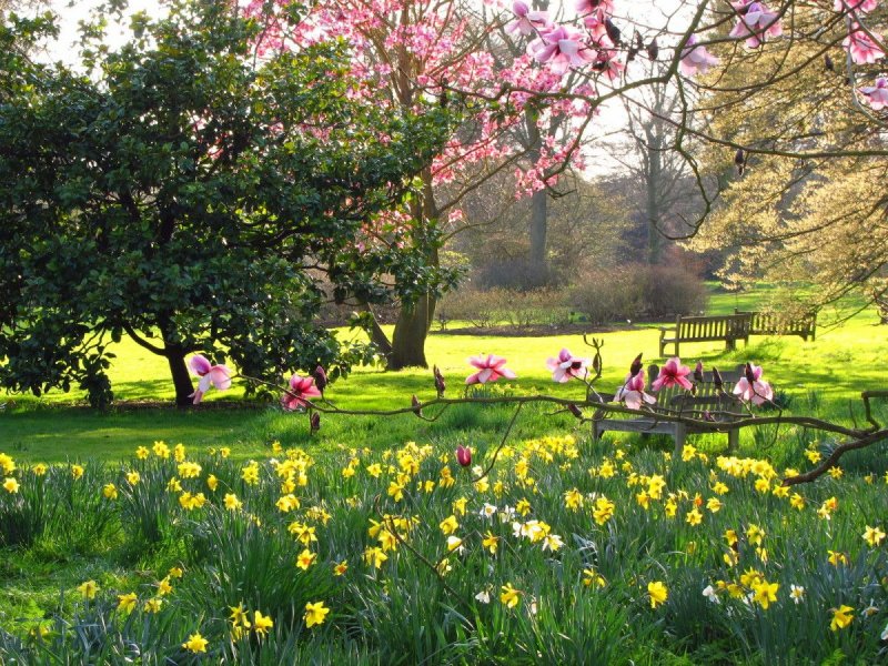 Цветущие сады Англии