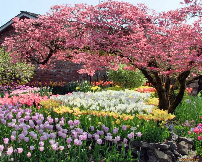 Весна цветущие сады