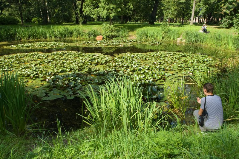 Водная оранжерея ботанического сада Санкт-Петербург
