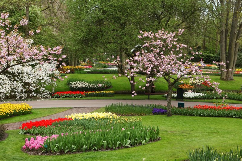 Цветущий парк весной