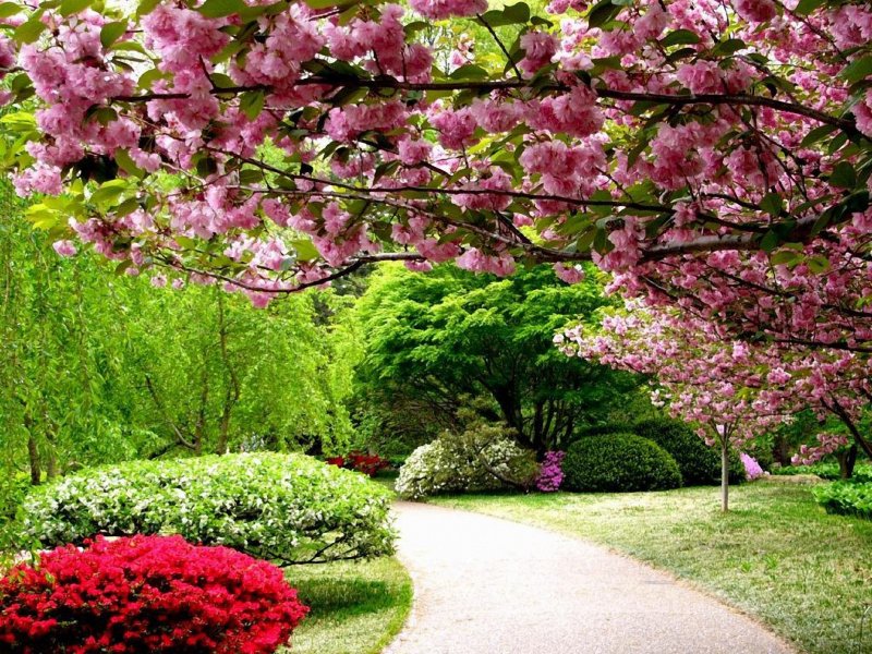 Цветущие сады и парки мира