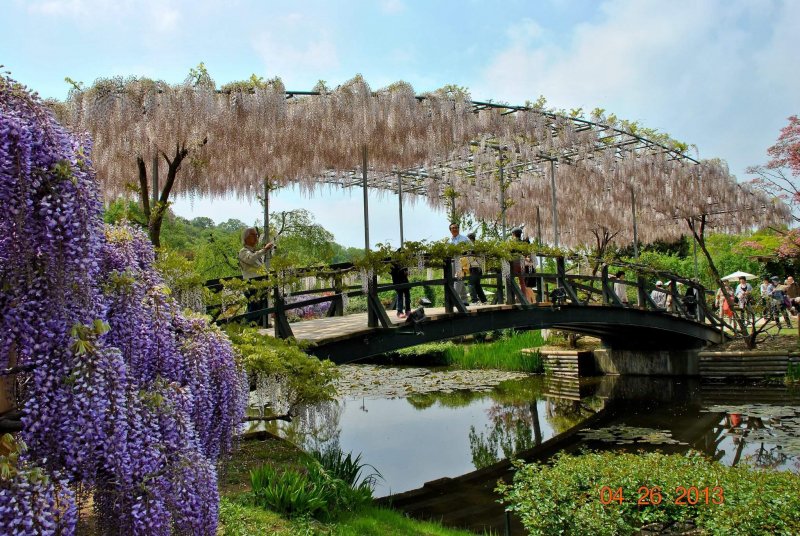 Ботанический сад ла Мортелла