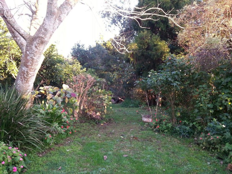 Сад запущенный сад