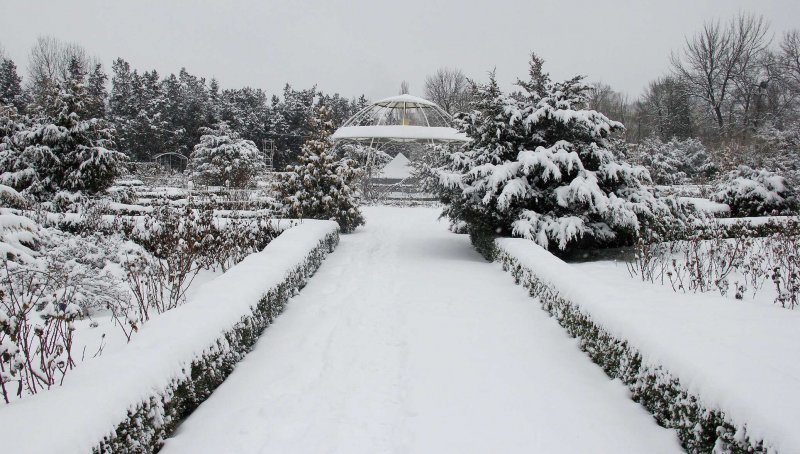 Парк Ботанический Симферополь зима
