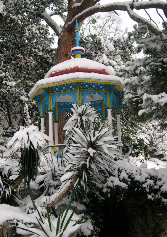 Ботанический сад Санкт-Петербург зимой