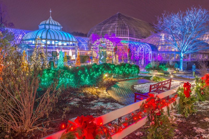 Ботанический сад Новосибирск Академгородок зима