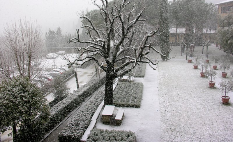Никитинский сад зимой