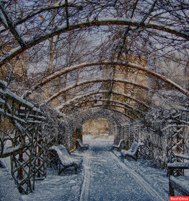 Ботанический сад Москва зимой