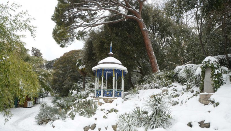 Никитский Ботанический сад зимой