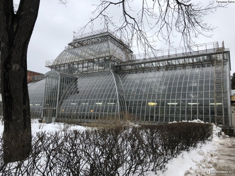 Никитский Ботанический сад зимой