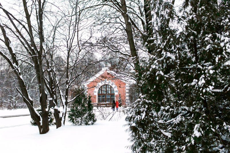 Ботанический сад Петра Великого в Санкт-Петербурге зимой