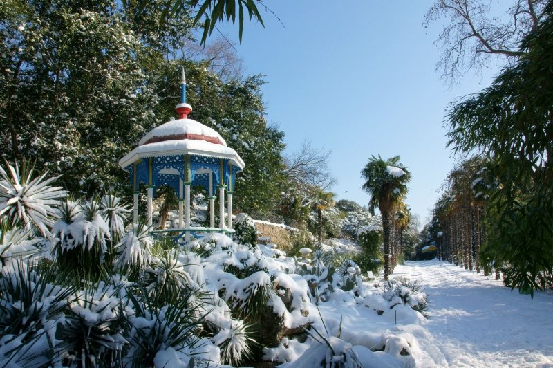 Крым Никитский Ботанический сад зима