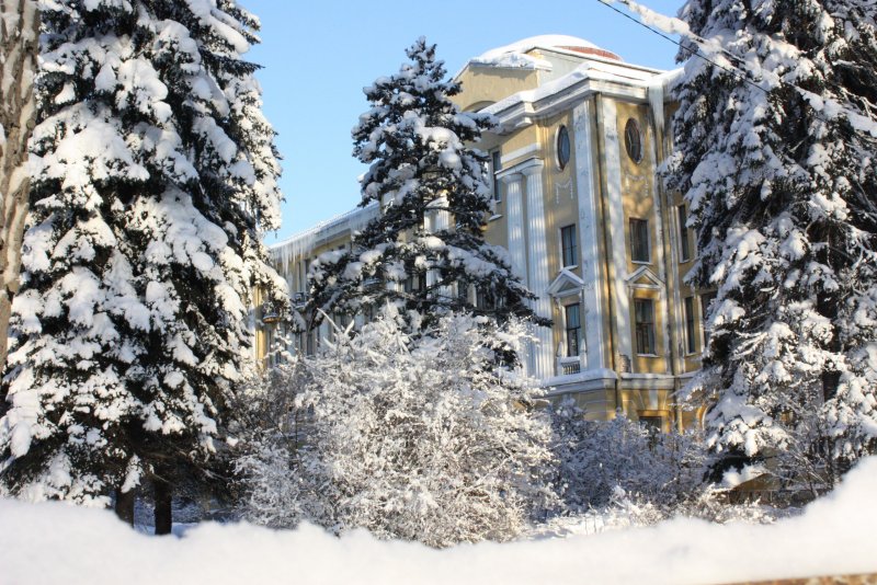 Летний сад в Санкт-Петербурге зима