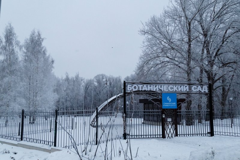 Московский Ботанический сад зимой