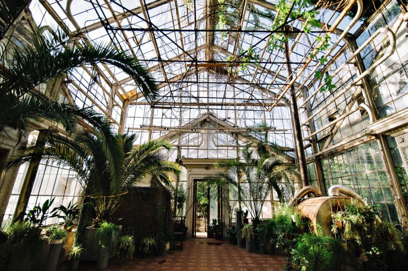Петербург оранжерея Таврического сада