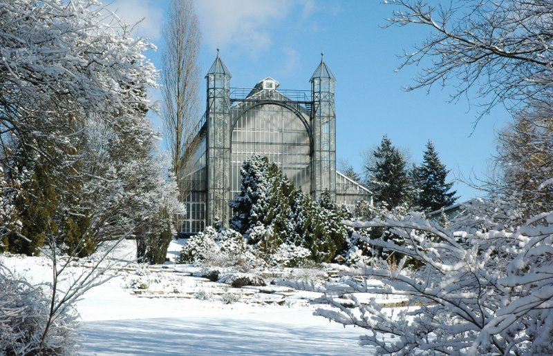 Ботанический сад Петра Великого зима