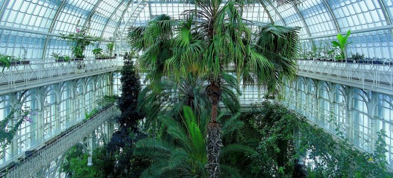 Ботанический сад Кью в Лондоне