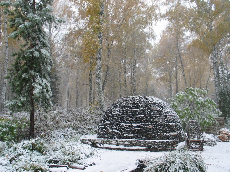 Никитский Ботанический сад зима