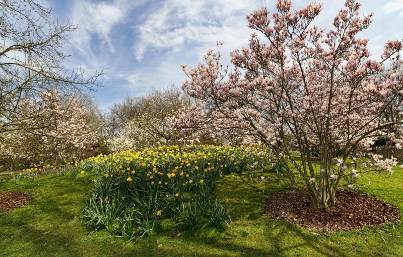 Весна в садах Германии