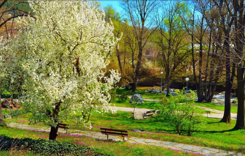 Весна парк