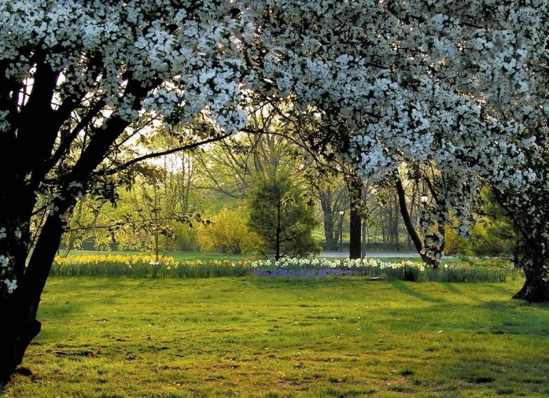 Михайловский сад весной