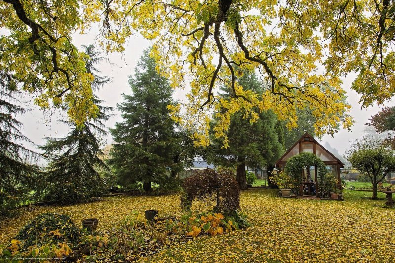 Осень парк дом