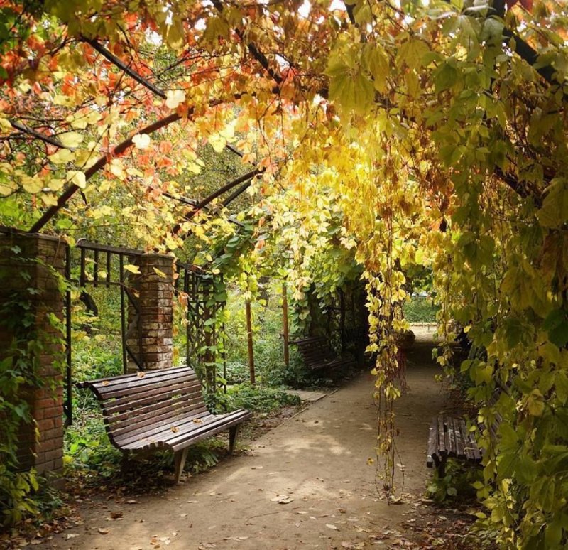 Осенний Ботанический сад в Москве