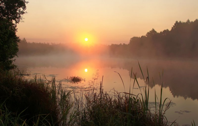 Озеро в Мордовском заповеднике
