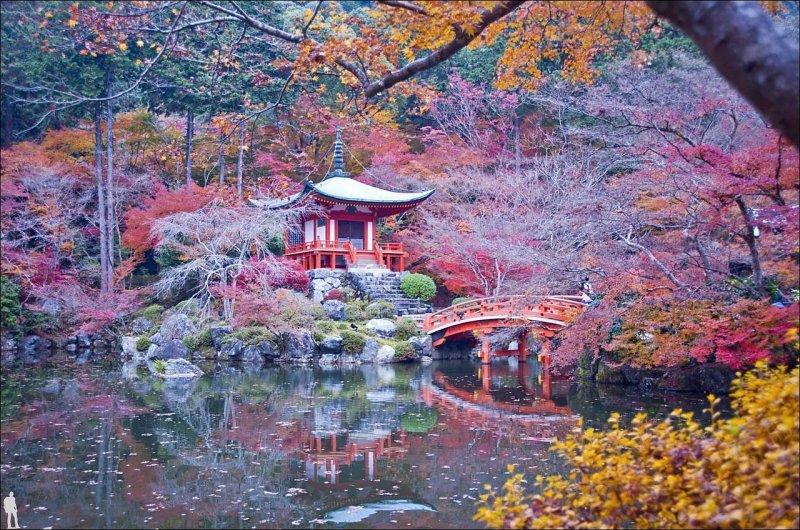 Портлендский японский сад Орегон США