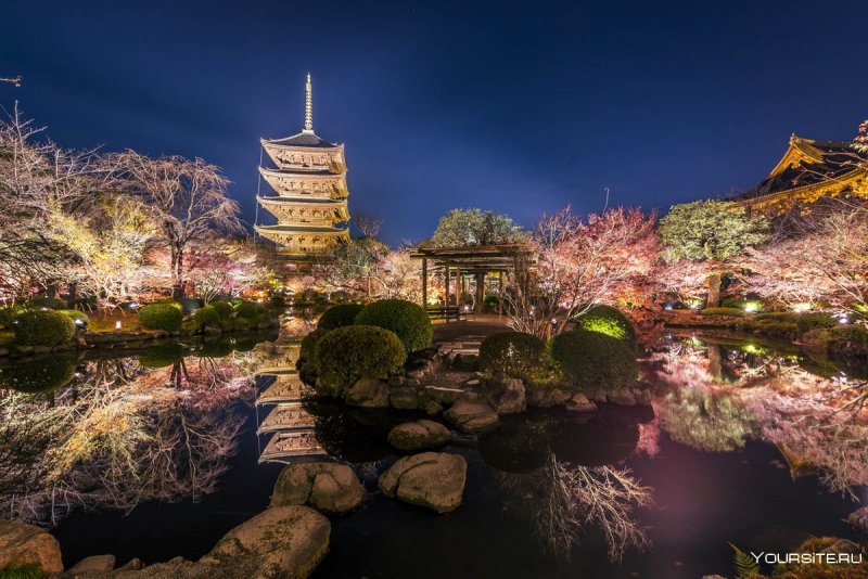 Дворец в Японии с сакурой