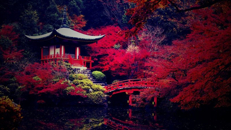 Золотой храм Япония осенью